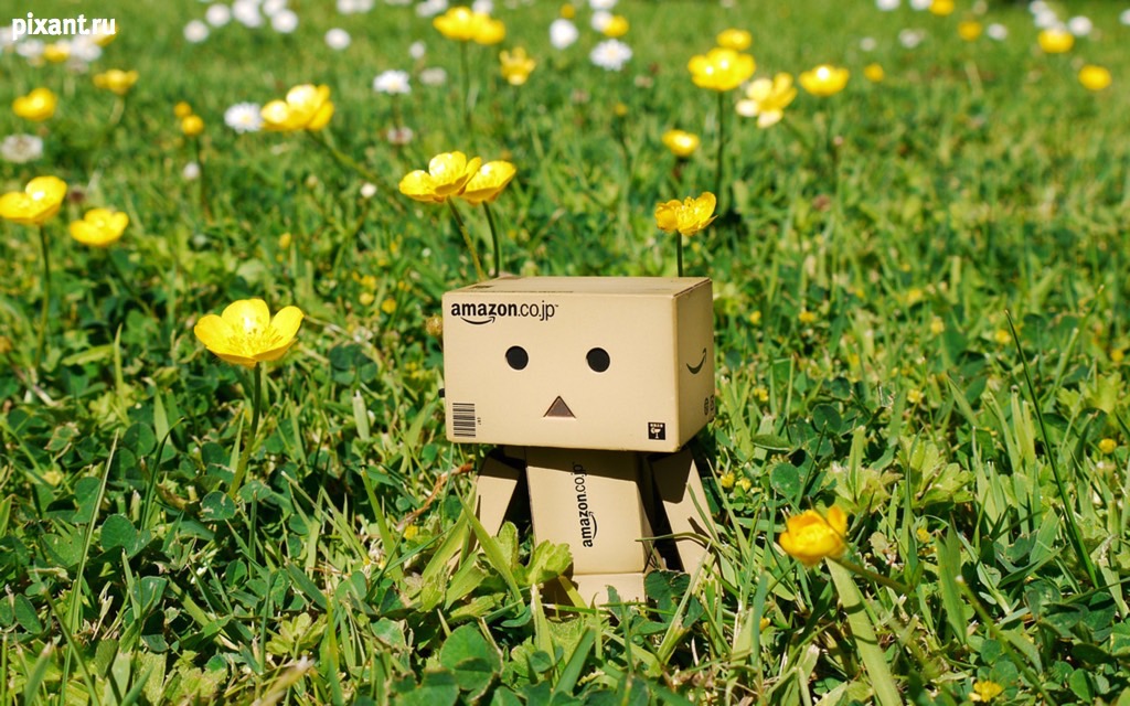 Фото Приключения человечка из картонной коробки Данбо: 131 фото из раздела /