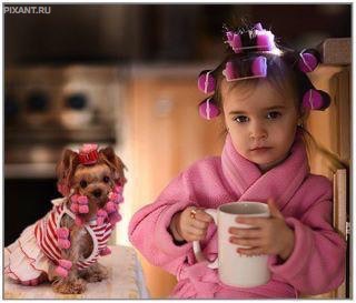 Бигуди-бигуди. Все мечтают быть красивыми и дети и собаки