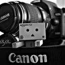 Фото Приключения человечка из картонной коробки Данбо: 131 фото из раздела  /