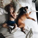 Фото Подборка из 21 милых фото: Спящие дети и собаки. Ми-ми-ми... из раздела  /