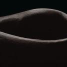 Фото Тим Флеч: креативные фотографии лошадей (30 фото) из раздела  /