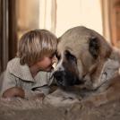 Фото Дети и собаки: лицом к лицу (чудесная подборка из 27 милых фото) из раздела  /