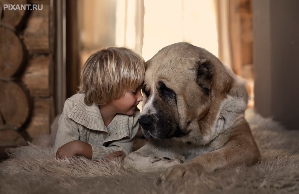 Фото Дети и собаки: лицом к лицу (чудесная подборка из 27 милых фото) из раздела  /
