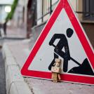 Фото Третье путешествие человечка из картонных коробок по России (39  фото) из раздела  /