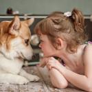 Фото Дети и собаки: лицом к лицу (чудесная подборка из 27 милых фото) из раздела  /