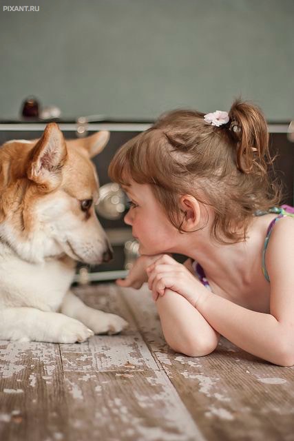 Фото Дети и собаки: лицом к лицу (чудесная подборка из 27 милых фото) из раздела  /