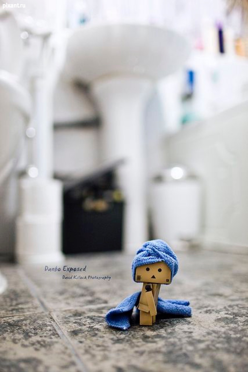 Фото Приключения человечка из картонной коробки Данбо: 131 фото из раздела  /