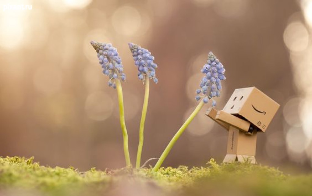 Фото Приключения человечка из картонной коробки Данбо: 131 фото из раздела  /