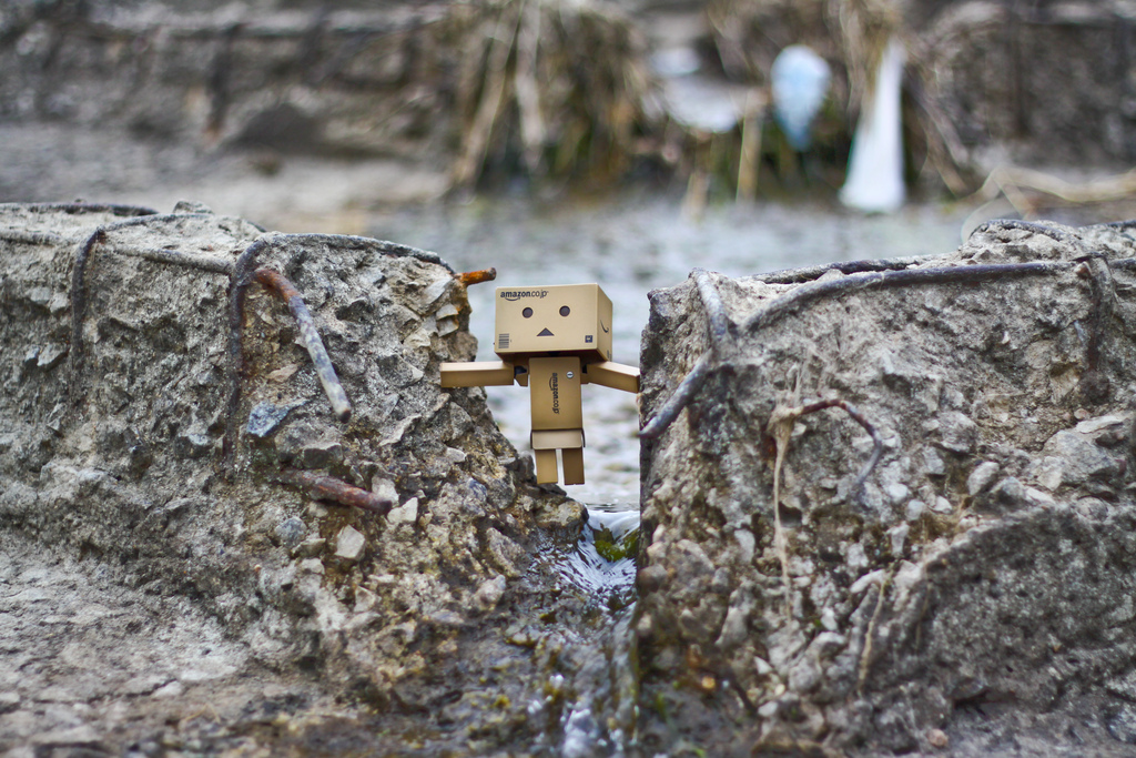 Фото Данбо в России 2: путешествие человечка из картонных коробок (34  фото) из раздела  /