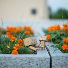 Фото Третье путешествие человечка из картонных коробок по России (39  фото) из раздела  /