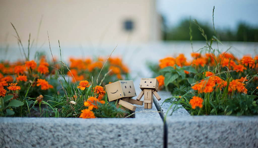 Фото Третье путешествие человечка из картонных коробок по России (39  фото) из раздела  /