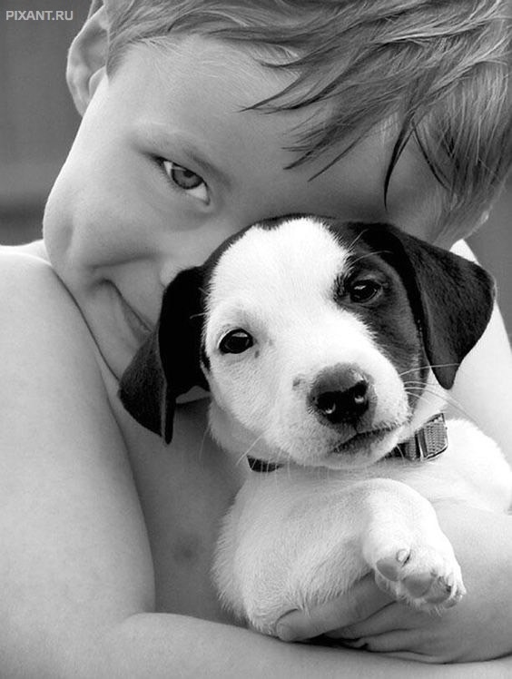 Фото Дети и собаки: обнимашки. Коллекция 51 супер милых фото из раздела  /