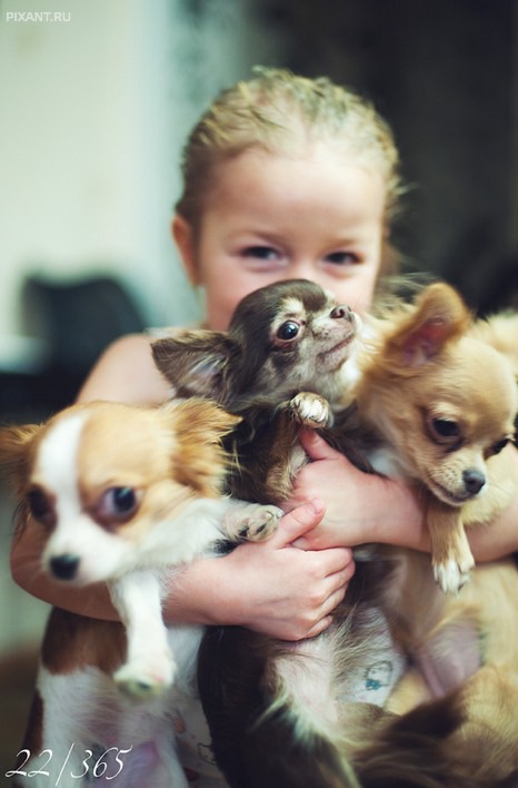 Фото Дети и собаки: обнимашки. Коллекция 51 супер милых фото из раздела  /