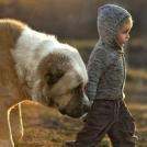 Фото Дети и собаки гуляют вместе (подборка из 24 фото) из раздела  /