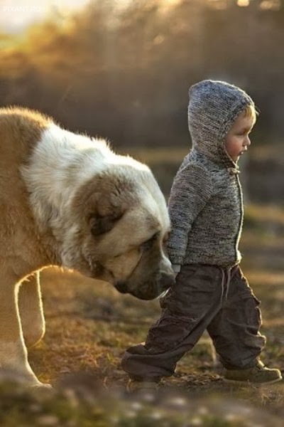 Фото Дети и собаки гуляют вместе (подборка из 24 фото) из раздела  /