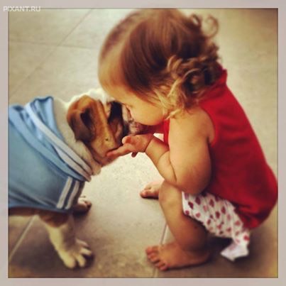 Фото Дети и собаки: лицом к лицу (чудесная подборка из 27 милых фото) из раздела  /