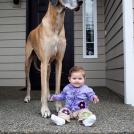 Фото Маленькие детки и собачки (подборка из 22 фото) из раздела  /