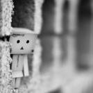 Фото Приключения человечка из картонной коробки Данбо: 131 фото из раздела /