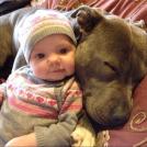 Фото Грудные дети и собаки (подборка из 35 фото) из раздела  /