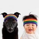 Фото Дети и собаки: лучшие друзья (подборка 20 фото) из раздела  /