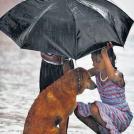 Фото Дети и собаки: лучшие друзья (подборка 20 фото) из раздела /