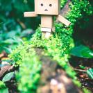 Фото Приключения человечка из картонной коробки Данбо: 131 фото из раздела  /