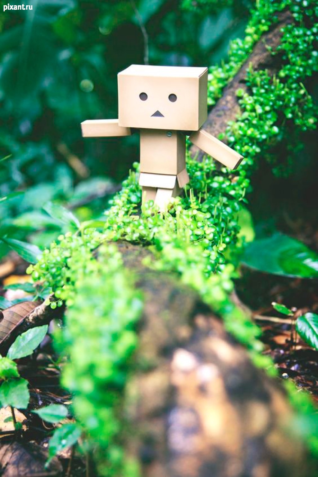 Фото Приключения человечка из картонной коробки Данбо: 131 фото из раздела  /