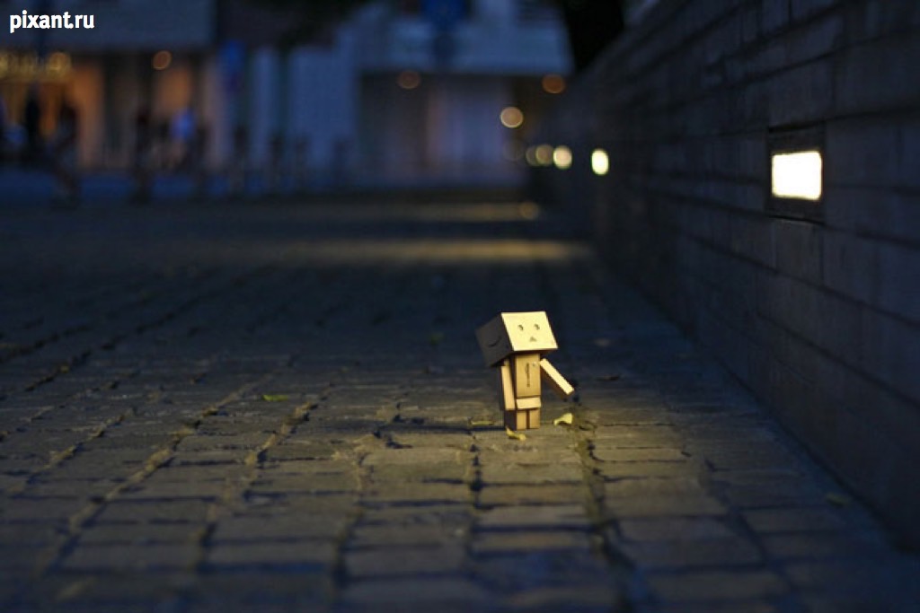 Фото Путешествие картонного человечка Данбо по России (24 фото) из раздела  /