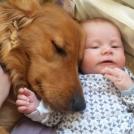 Фото Грудные дети и собаки (подборка из 35 фото) из раздела  /