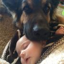 Фото Грудные дети и собаки (подборка из 35 фото) из раздела  /