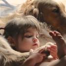 Фото Дети и собаки: обнимашки. Коллекция 51 супер милых фото из раздела  /