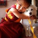 Фото Дети и собаки: обнимашки. Коллекция 51 супер милых фото из раздела  /