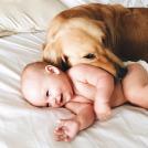 Фото Грудные дети и собаки (подборка из 35 фото) из раздела  /