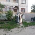 Фото В Брянске построено Тридевятое царство (10 фото) из раздела  /