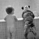 Дети и собаки купаются вместе (позитивная подборка из %%items%% фото)