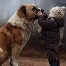 Дети и собаки: лицом к лицу (чудесная подборка из %%items%% милых фото)