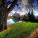 Фото Безмятежная красота из раздела  /