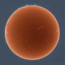 Фото Алан Фридман: Солнца из раздела  /