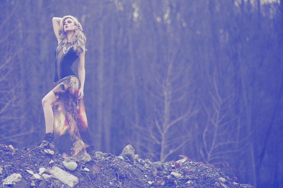 Фото В лесу из раздела  /