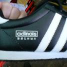 Фото Адинайс из раздела  /