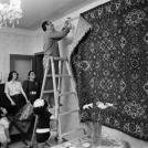 Фото Ковер из раздела  /