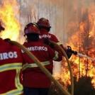 Фото Материковая часть Португалии также объята огнем из раздела  /