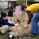 Фото Курбан Байрам из раздела /
