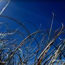 Фото Фотоконкурс National Geographic: Удивительная природа из раздела  /