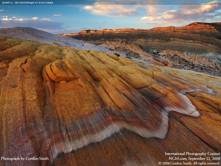 Фото Фотоконкурс National Geographic: Удивительная природа из раздела  /