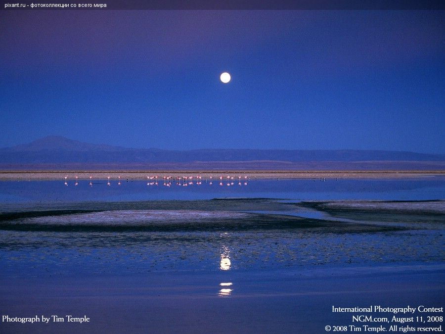 Фото Фотоконкурс National Geographic: Удивительная природа из раздела  /