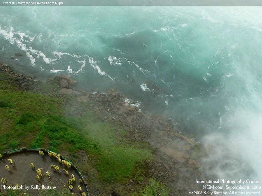 Фото Фотоконкурс National Geographic: Удивительная природа из раздела  /