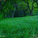 Фото Фотоконкурс National Geographic: Удивительная природа из раздела  /