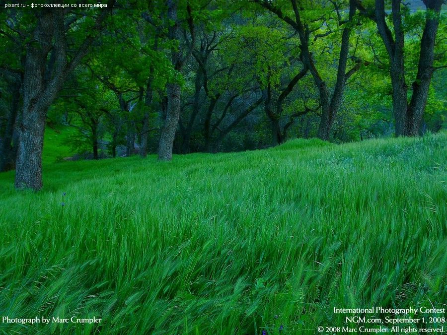 Фото Фотоконкурс National Geographic: Удивительная природа из раздела  /