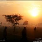 Фото Фотоконкурс National Geographic: Удивительная природа из раздела  /